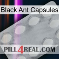 Black Ant Capsules 16